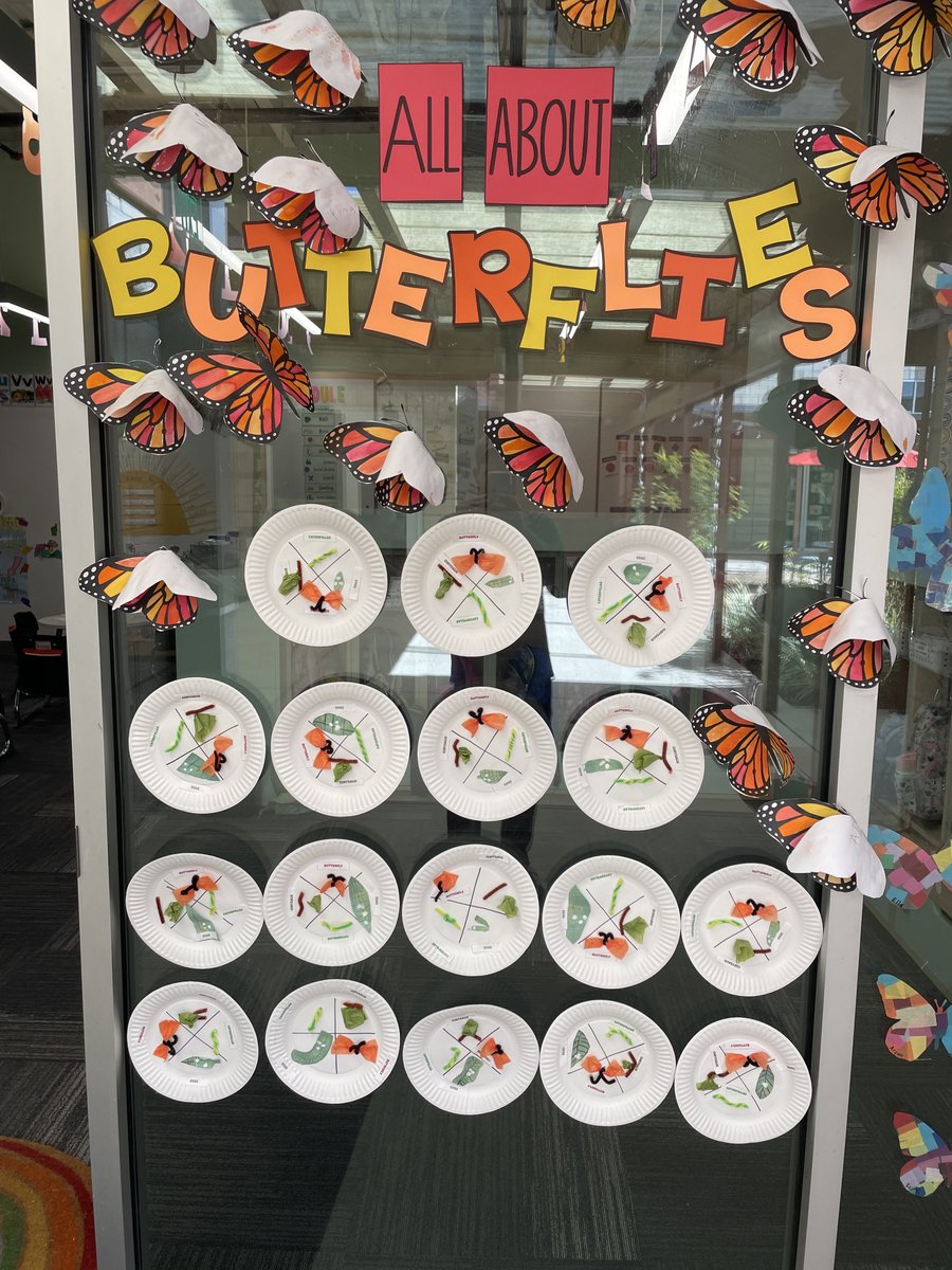 WesterlySchool's tweet photo. Kinder students showing conceptual knowladge of butterfly life cycles by creating their own three-dimensional diagrams. #ngss #STEM @NAISnetwork #science #lifecycles #inquirybasedlearning #PBL https://t.co/byp7wNsDLS