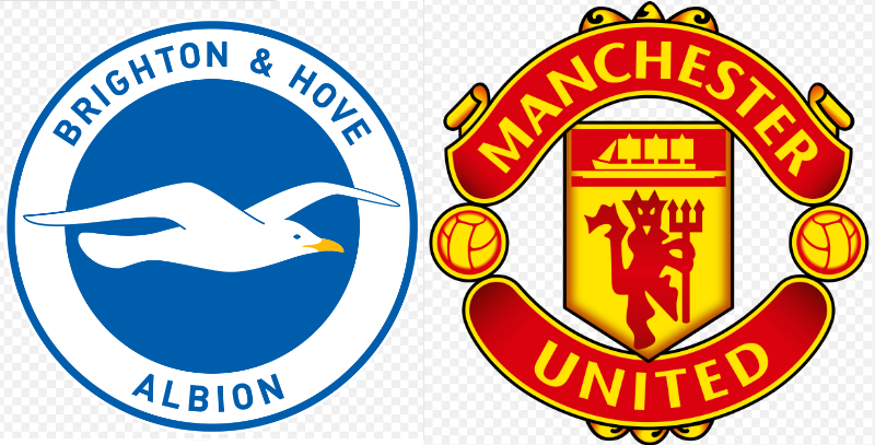 One of our regulars suggested that as the Albion are playing at Wembley on Sunday in the FA cup semi final, it would be good to support them by wearing your Albion (or blue) shirt on Saturday.

In the interest of impartiality Man U (or red) also welcome !