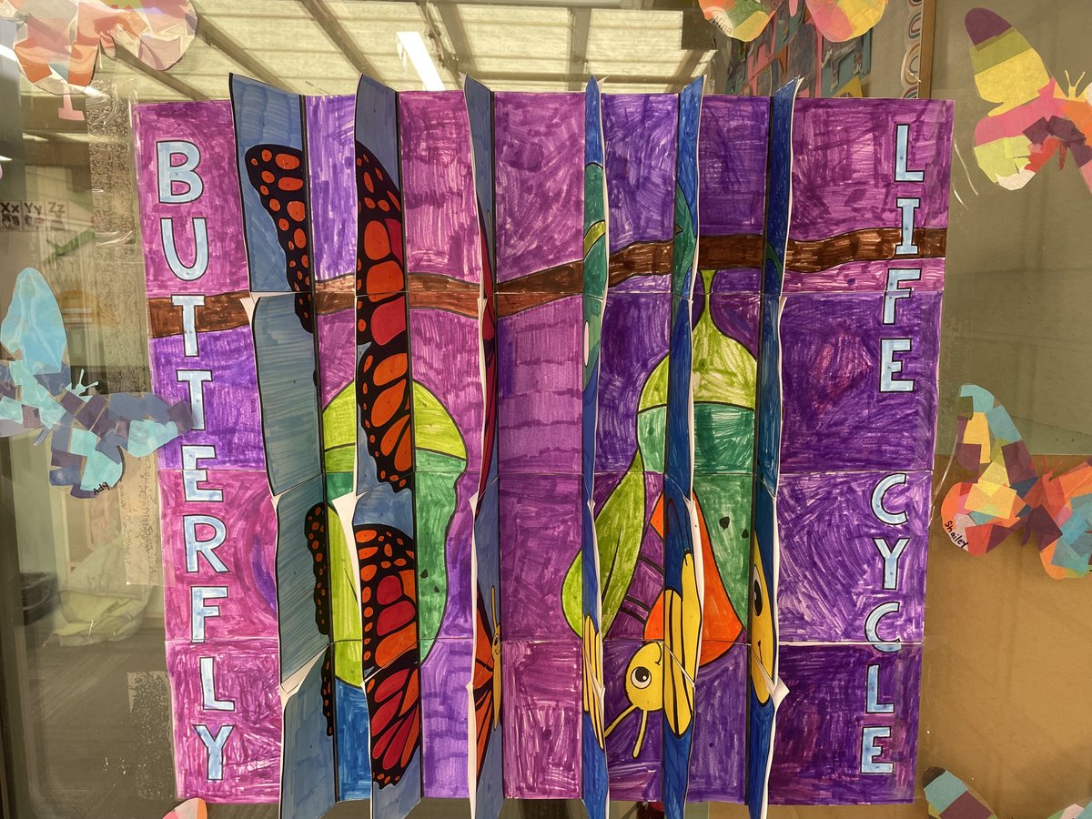 Kinder students showing conceptual knowladge of butterfly life cycles by creating their own three-dimensional diagrams. #ngss #STEM <a href="/NAISnetwork/">NAIS</a> #science #lifecycles #inquirybasedlearning #PBL