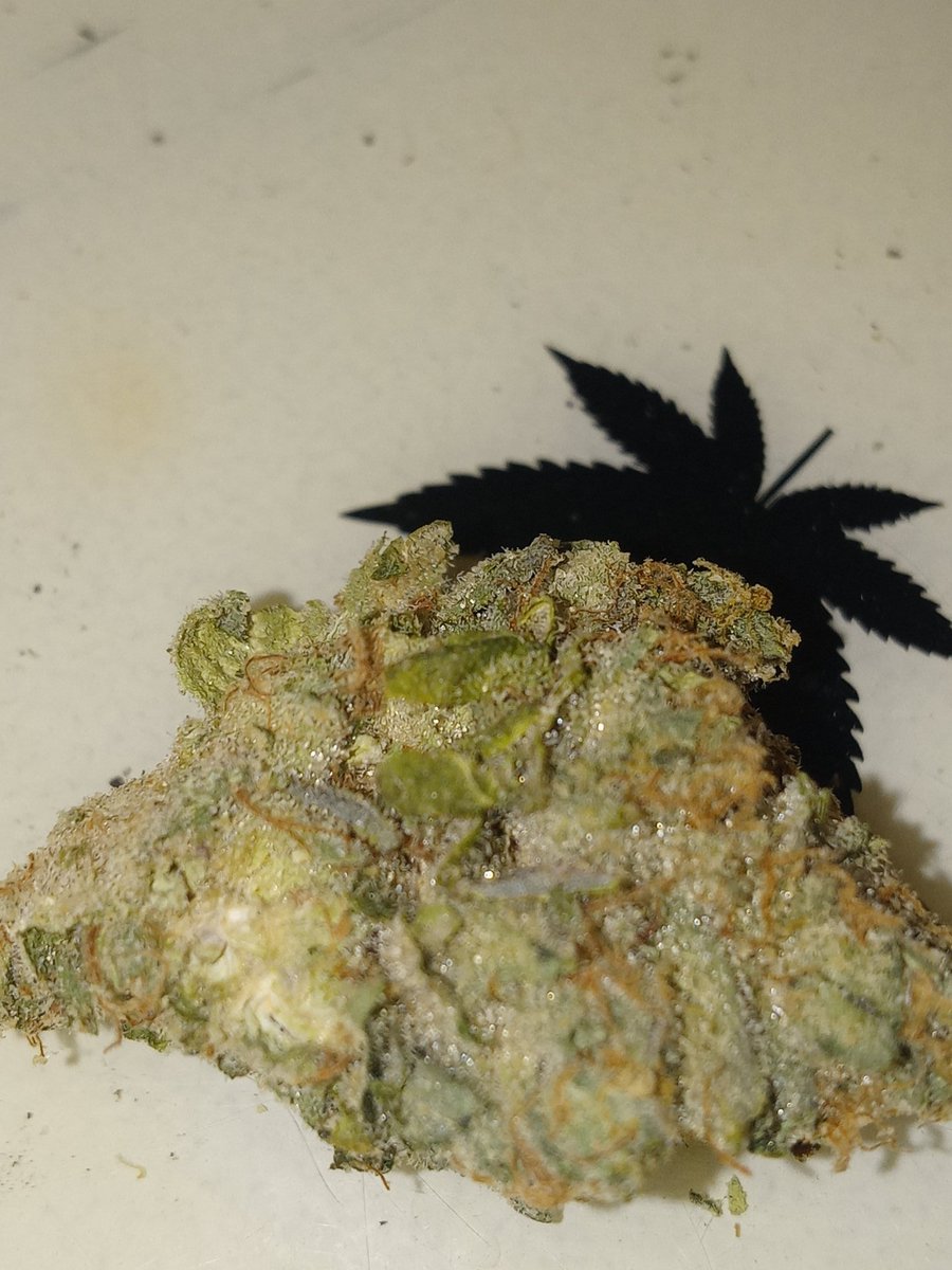 SpittaTheChosen's tweet photo. #Aeriz #Rainbowz🌈 #WeedLovers #JetLife #WeedSmokers #Marijuana https://t.co/PjMlO7Ihv8