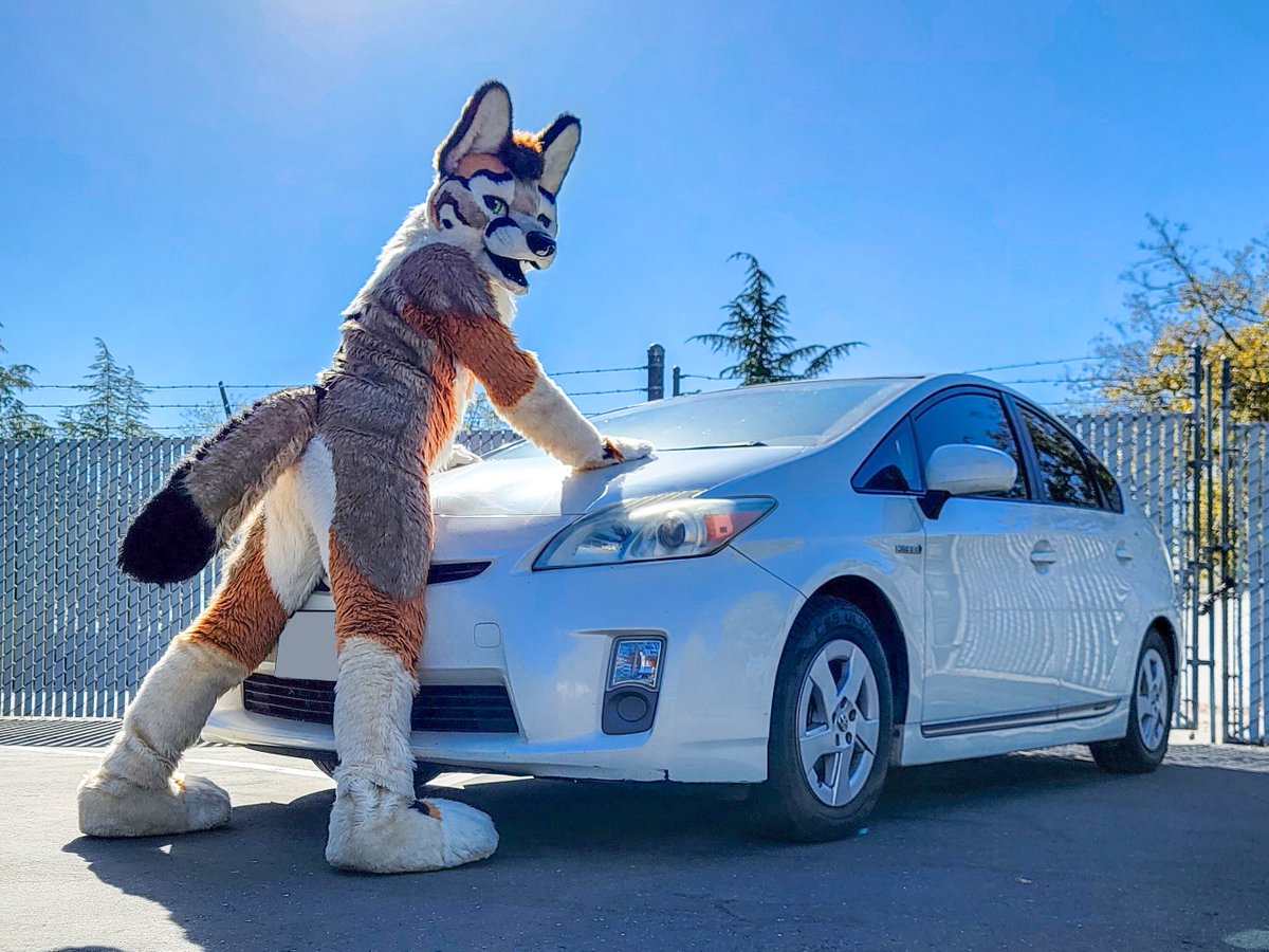 WyattFoxface's tweet photo. Selling off this absolute Tail Magnet 😩💦
Let's see those offers below!
No lowballs, I know what I've got.
#PriusGang #TrackBeast #NotMyCar
📷@JayTheGryphon https://t.co/s5pgHtb5BI