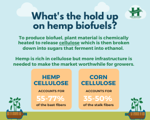 GatekeeperLabs's tweet photo. #cannabis #Weed #Health #Science #Engineering #PrivateEquity #Growth #大麻 #القنب #Read

#Hemp Biofuels
The world's answer to #cleanenergy generation https://t.co/VglhIJ19oW