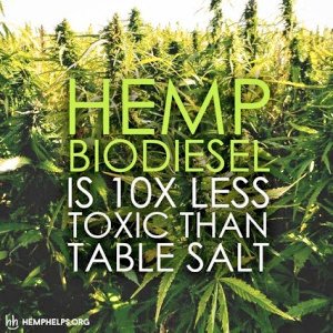 GatekeeperLabs's tweet photo. #cannabis #Weed #Health #Science #Engineering #PrivateEquity #Growth #大麻 #القنب #Read

#Hemp Biofuels
The world's answer to #cleanenergy generation https://t.co/VglhIJ19oW