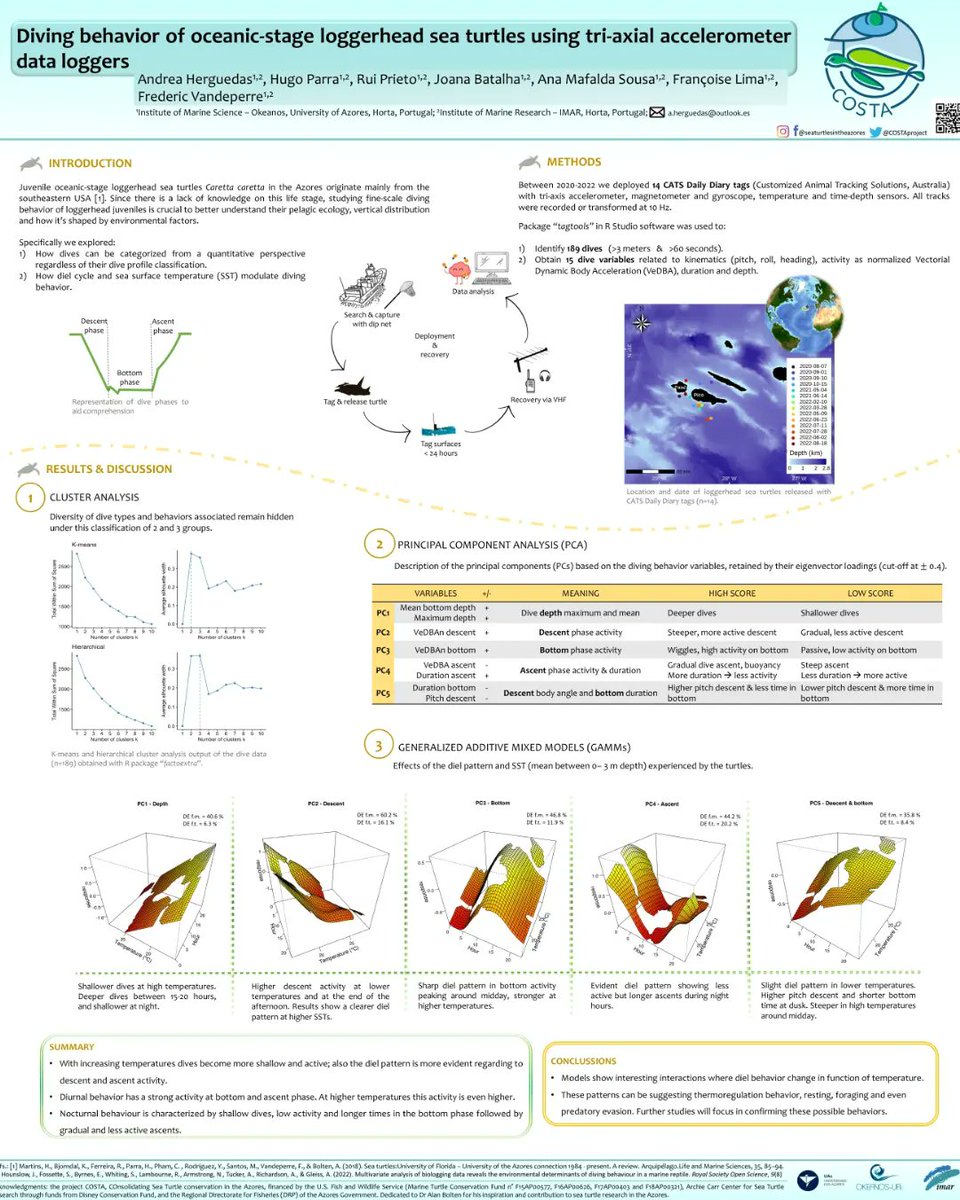 COSTAproject_'s tweet photo. In Match, the COSTA team presented 3 posters at the 41st International Sea Turtle Symposium in Cartagena das Índias, Colômbia 🇨🇴
#loggerheadsdivingbehavior
#greenturtlesdistributioninazores
#macaronesianloggerheadsgeneticdiversity
@ISTS41Cartagena 
@OkeanosUac https://t.co/tVYS2mRKY8