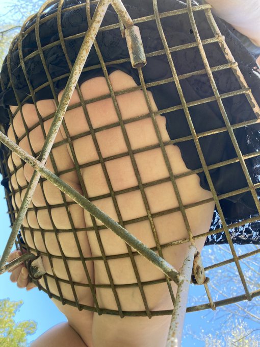 1 pic. Nice day, wanna play? https://t.co/HKZHjCidRV
