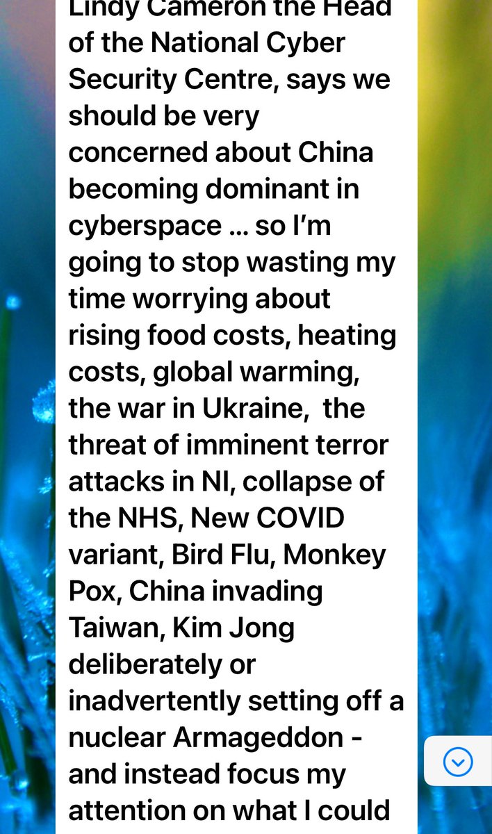 My sister just text me this 🙈you have to click on it to read it in full - the last bit reads “and do what I can to stop this epoch defining challenge to western civilisation - I’ll get back to you 🤔