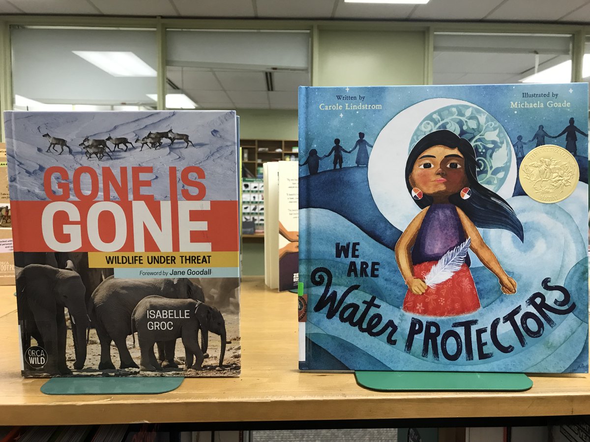 Fisher Park/Summit tweet media