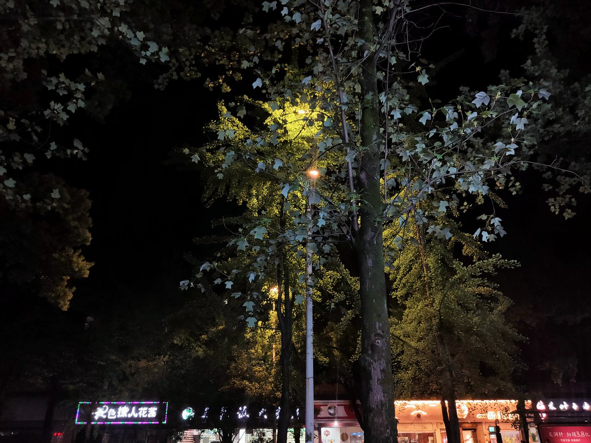 choncc13's tweet photo. 黄山屯溪有什么好玩的地方 https://t.co/cd0pj2R5V6