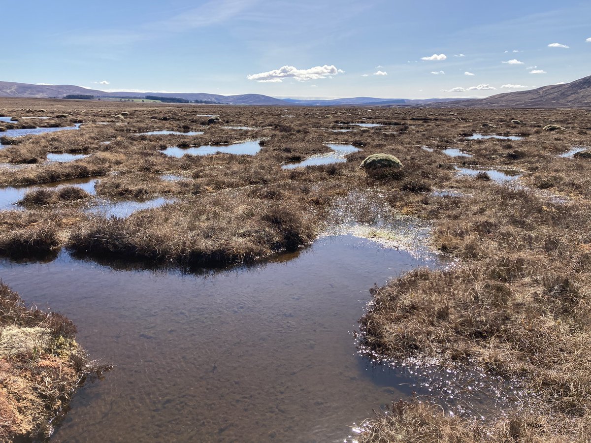 John King tweet media