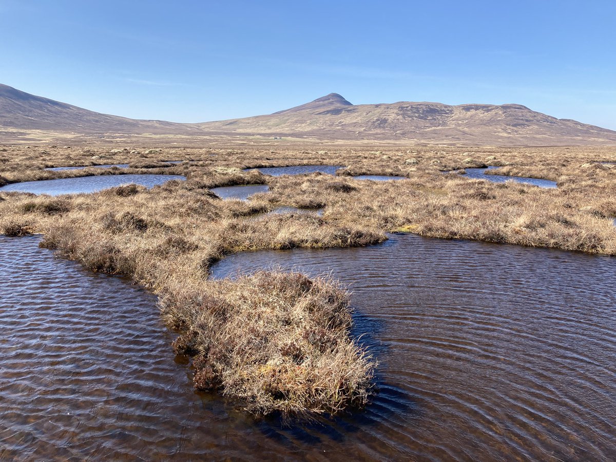 John King tweet media