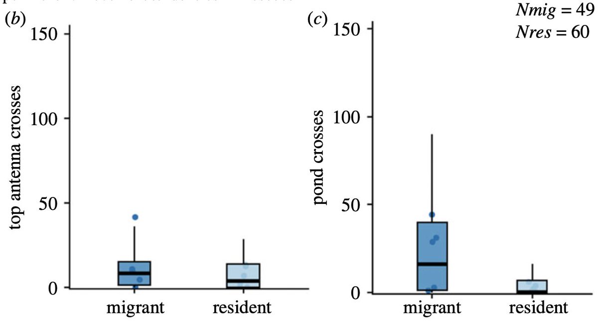 sticklelab's tweet photo. @aparajitha_ @JakobGismann We found that stickles recently isolated into freshwater habitats ('residents') move much less than the ones from the ancestral migratory population, BUT only at large spatial scales between ponds‼️
3/4 https://t.co/u8f44q7sXN