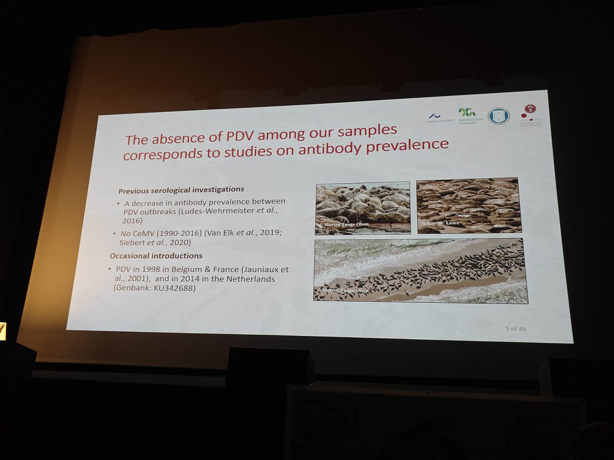 PorpoiseLady's tweet image. Porpoises tested negative for both. 

#ECSconference2023