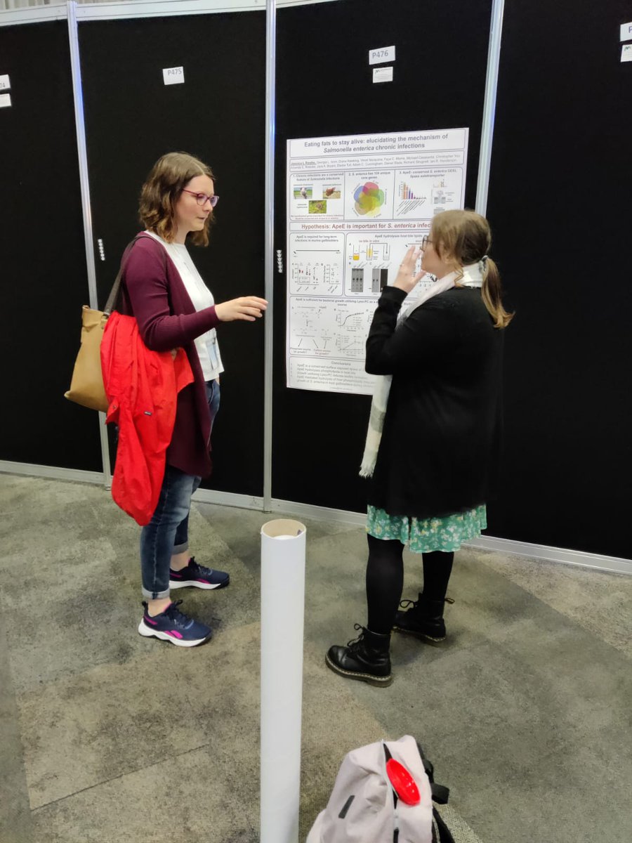 EmmaBeansworth's tweet photo. Thank you @MicrobioSoc for the opportunity to present my latest work investing genome rearrangement #microbio23. I am very #proudpostdoc all around both for all our students, adopted or not, sharing their passion &amp; science &amp; our @gemma_langridge for bringing out passion in others https://t.co/XQbNecPpee