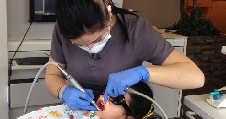 CFD_FCMD's tweet photo. The shortage of dental staff is a genuine concern and a legitimate barrier to access to dental care that needs to be addressed. #cdnpoli

Canada has a dental assistant shortage. Experts worry it’ll only get worse - National | https://t.co/DbljX2nSbP https://t.co/MynM3TCR3w https://t.co/vLu6KLqPJn