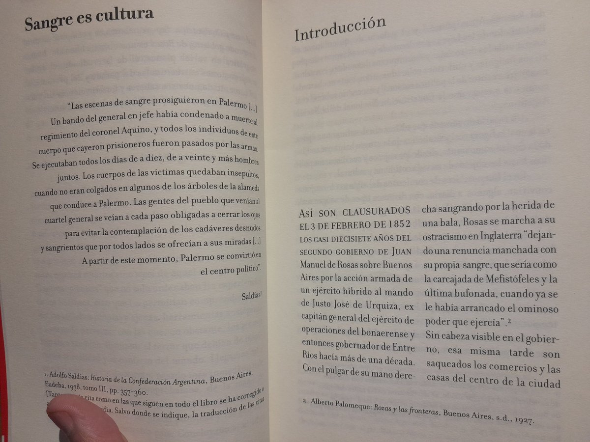 Buenos días,  buenas tardes, buenas noches.

Volvió Gabo Ferro 📚