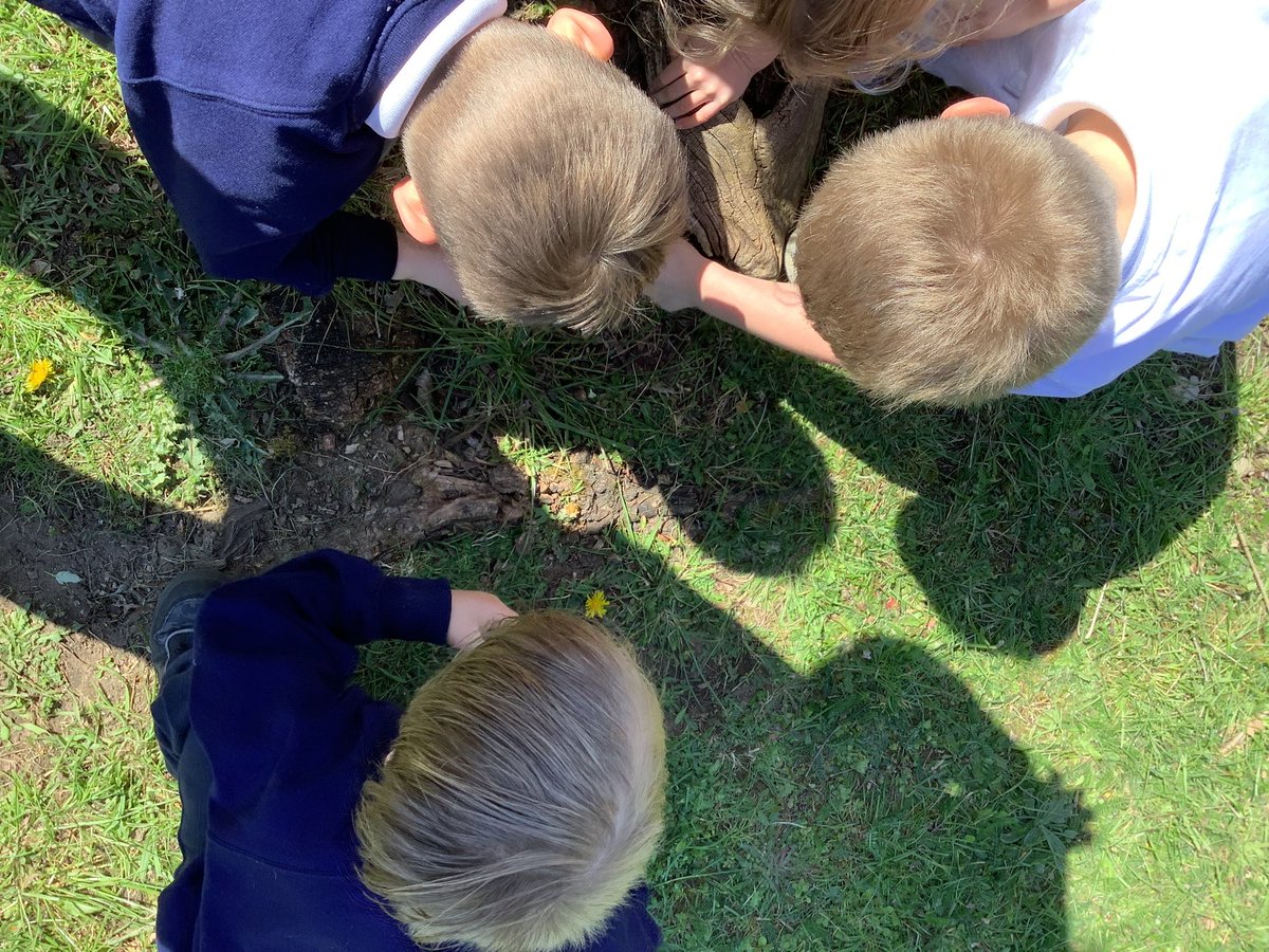 Monkeys class read the book ‘Nature Trail’ by Benjamin Zephaniah. We then enjoyed our own nature walk in the sunshine ☀️🌿🌼