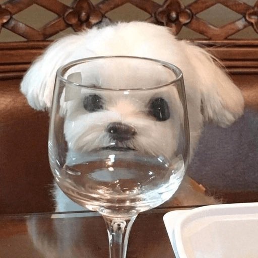 twaniimals's tweet photo. https://t.co/RpcwuzzazX