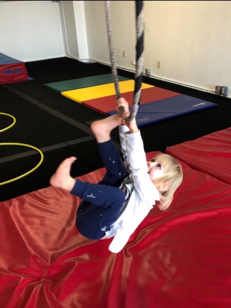 CirqueAbility tweet picture