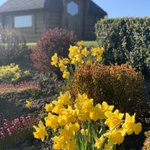 Photo by SmallshawCottagesSpa (@SCottagesSpa)