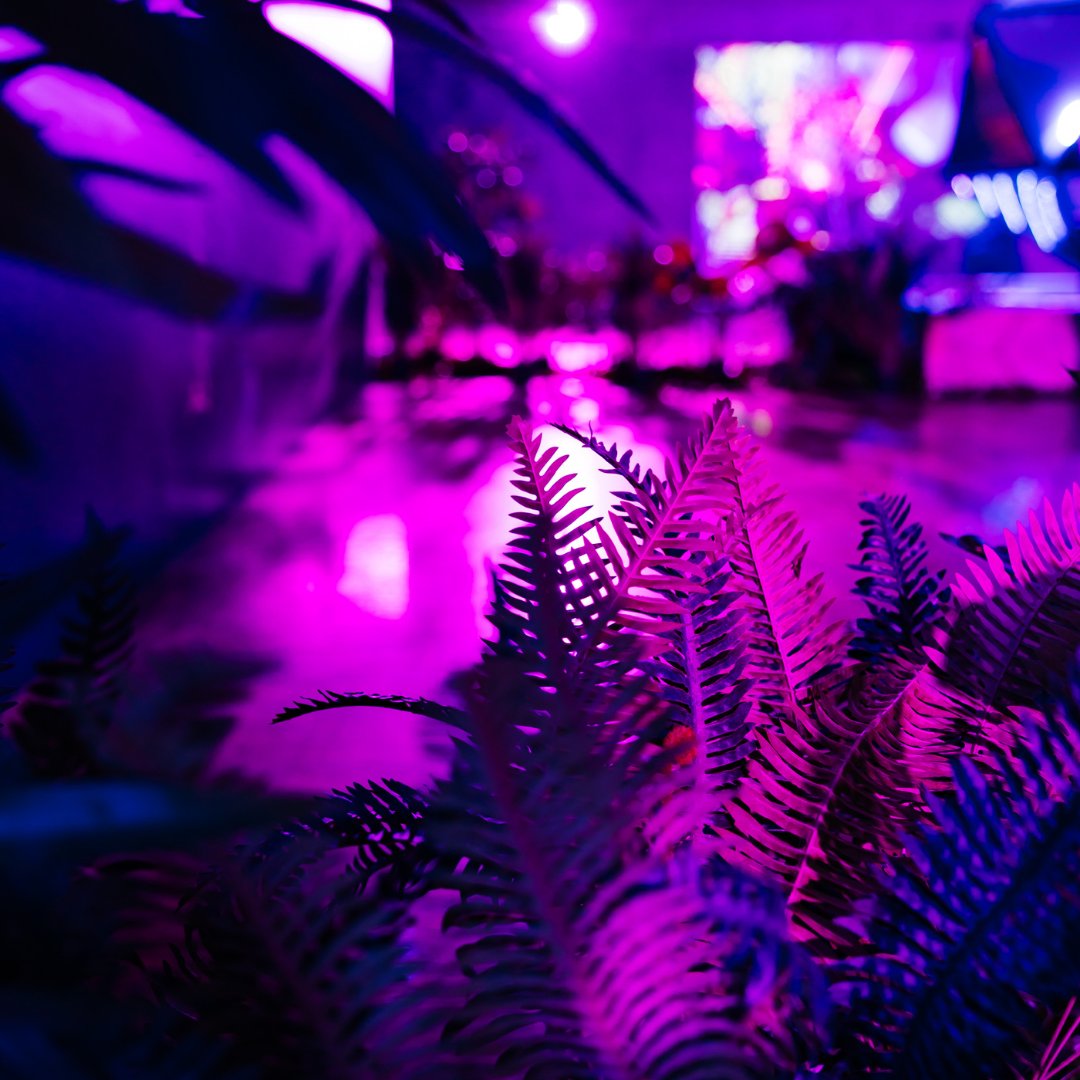 Experience SYNCRA tweet media