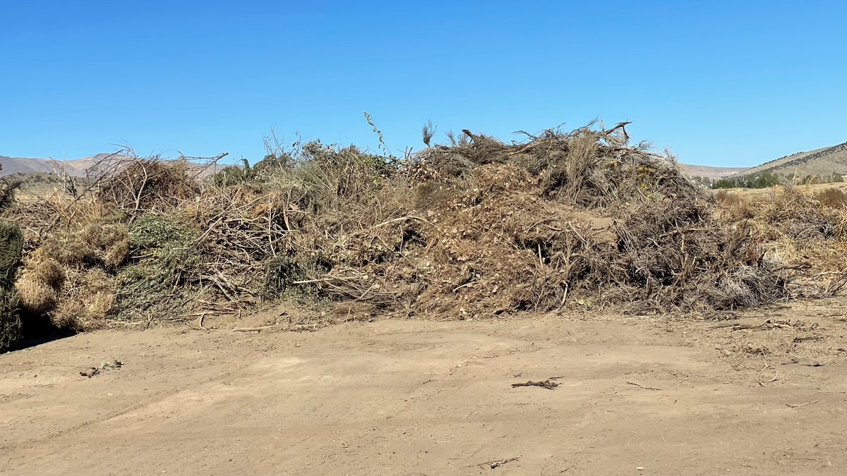 TMFPD's tweet image. Final #TMFR Spring 2023 Green Waste Collection is this weekend, 4/22 &amp;amp; 23 9am-4pm 130 Nectar St. Reno. Create #defensiblespace with free disposal of dry/dead vegetation to protect homes and property from wildfires. Details: bit.ly/3GUEibS