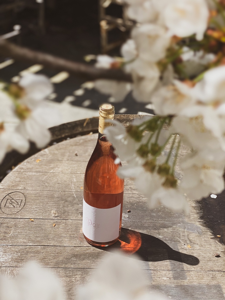 🌷NEW ARRIVAL🌷 Trousseau Gris is the ultimate Spring/Summer wine! Come try it at the tasting room.✨ Not local? We ship wine to most US states! 📦♥️
pax-mahle-wines.obtainwine.com/collection/bot…