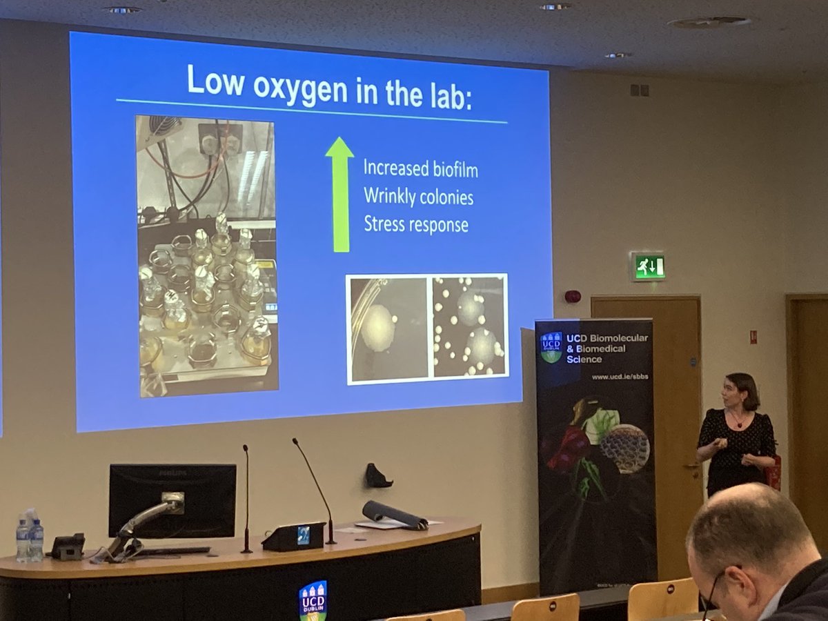 Next our own @NiamhDuggan16 presents her research on & low oxygen chronic infection in cystic fibrosis. She gets us all engaged @ the start & asks us to take deep breath & than explains how she models low O2 in the lab to compare with patient samples 
#UCDEngage @UCD_SBBS