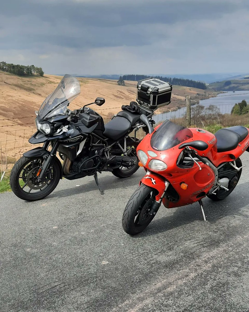 LukeFoxyHopkins's tweet photo. Birthday blast today with @daifox. #Triumph #T595 #Tiger #motorcycle https://t.co/CfMdHZ57Ub