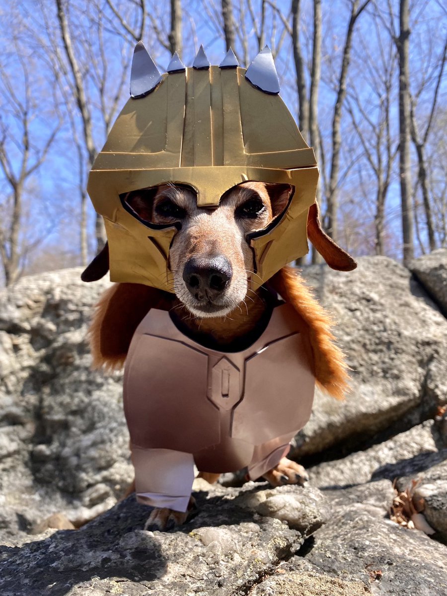 d_biegler's tweet photo. Who wore it better, Lily or @bigEswallz?

#TheMandalorian #TheArmorer 
#StarWars https://t.co/WINdsvTGDi