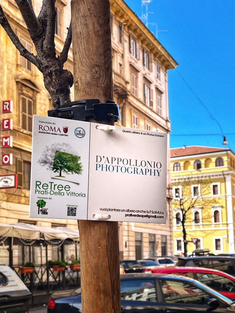 dAppolloniophot's tweet photo. Il nostro #albero adottato a #RomaPrati grazie a #ReTree

https://t.co/I8km85rpPZ https://t.co/SXG3wYv8yW