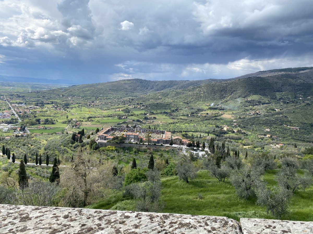 Michelle McDonald tweet media