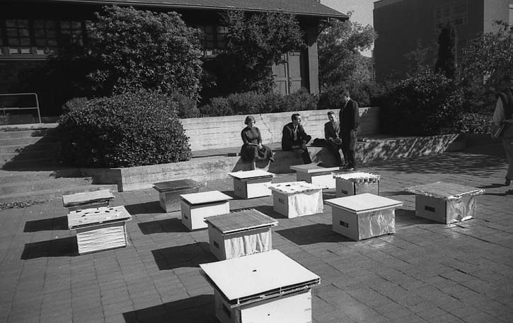 ed_archives's tweet photo. Tap, tap, tap…is this thing on?

The EDA is back on social media! We’ve missed you.

We’re springing into action with a campus-wide crowdfunding campaign for Earth Week. More soon!
 
Image: “Climatology” class experiment in the courtyard of the Ark, c. 1960 https://t.co/QnAgrbsTPH