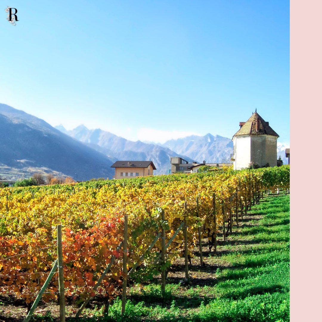 𝐕𝐀𝐋𝐋𝐄 𝐃’𝐀𝐎𝐒𝐓𝐀 🍷

If you have not already done so, go to discover the wine characteristics of the Italian region Valle D'Aosta 👉🏻 bit.ly/3Lay1KP

#radicicommunication #radiciitalianwines #valledaostawine #italianwineinireland #italianwinepromotion