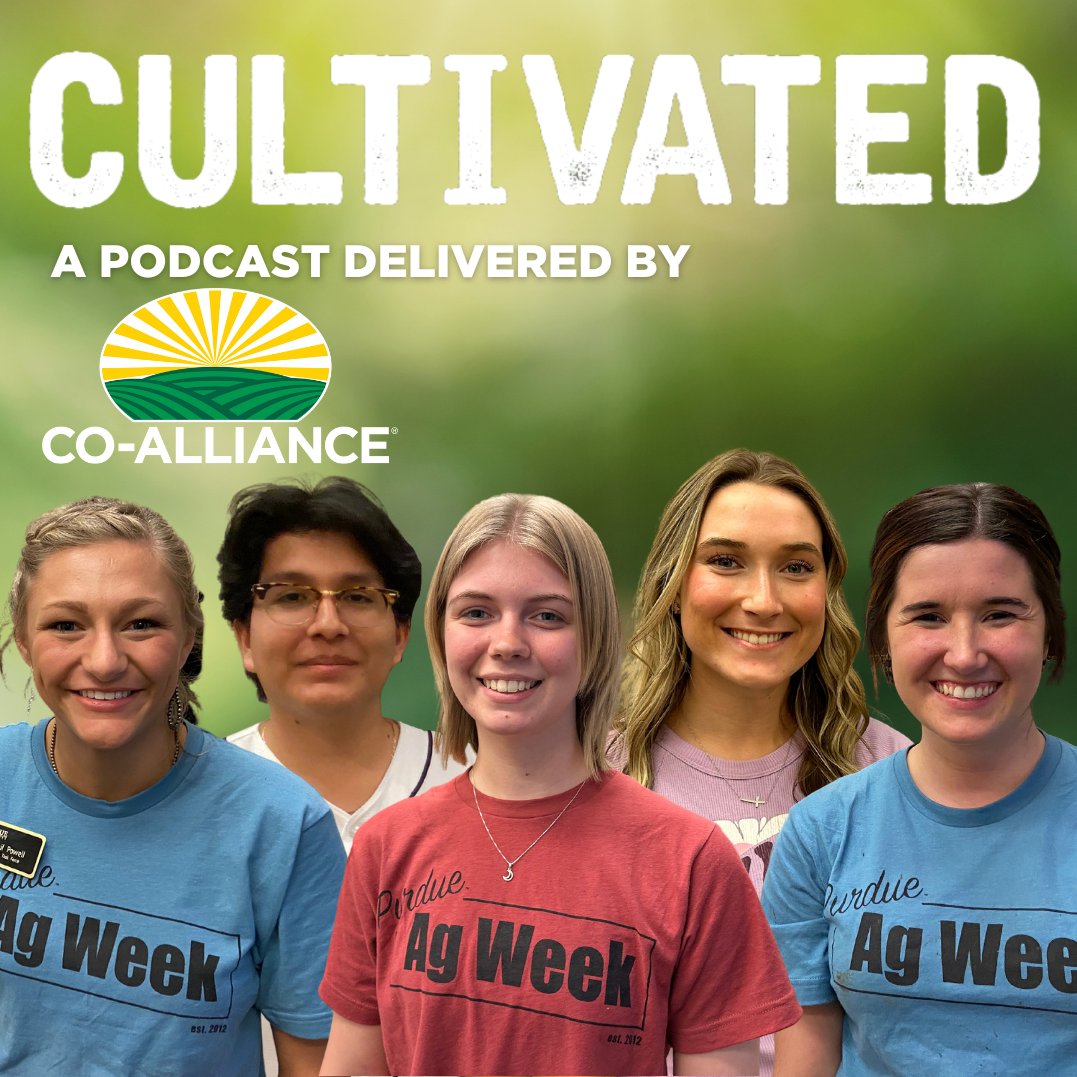 KeystoneCoop's tweet photo. We interviewed 5 @PurdueAg students on this month's episode of Cultivated who come from diverse backgrounds, unique experiences, and lofty aspirations. But one thing unites them: The drive to do great things for the future of agriculture.

🎧Listen now:  https://t.co/poywjvZwWy https://t.co/lmUqtalk8h