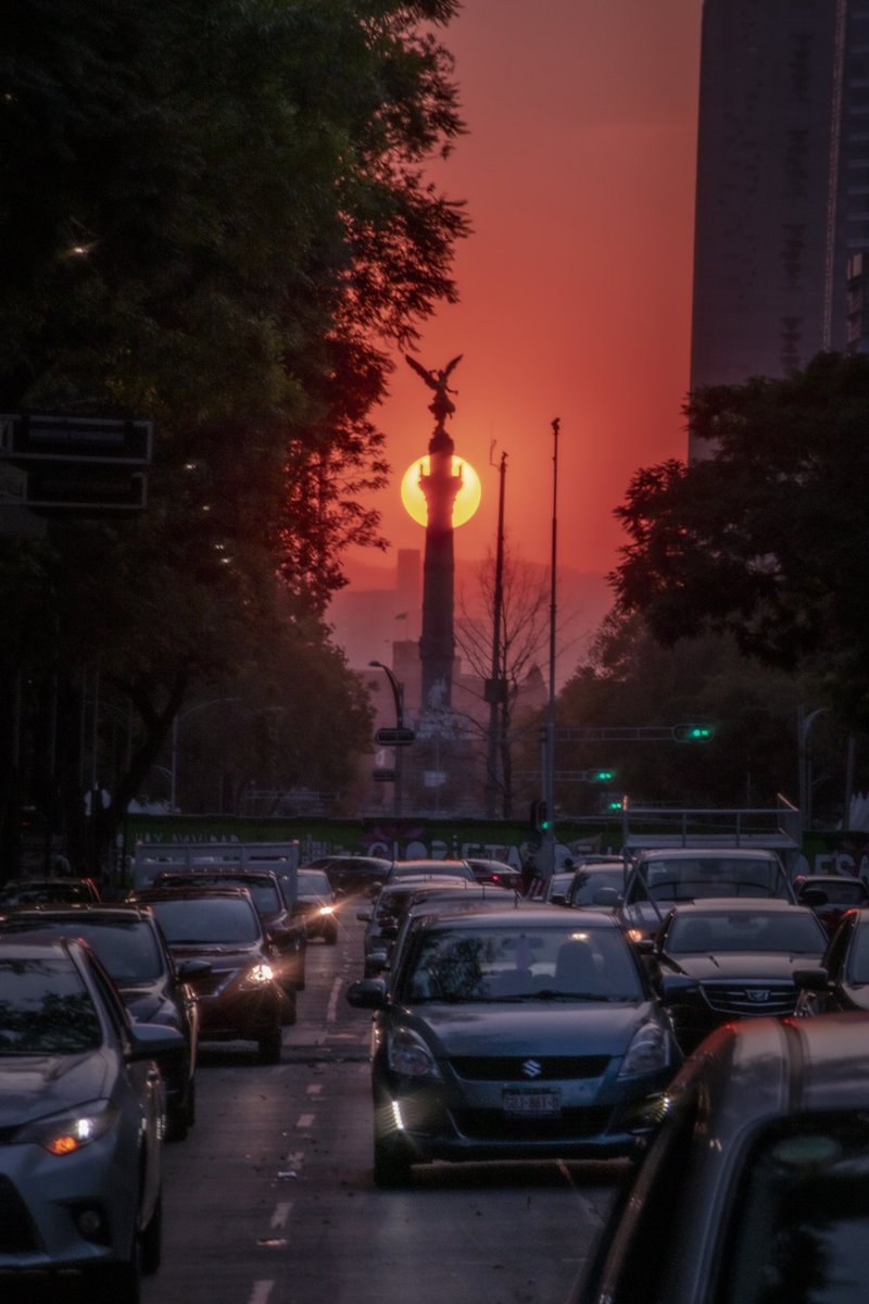 brandaolevir's tweet photo. Tú eres la artista que puede encontrar la inspiración en cada rincón de
este complejo y fascinate paisaje.
.
.
#MexicoCity  #SunsetLovers #SonyAlpha https://t.co/qgySdjWdB8