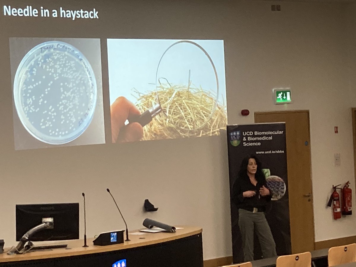 Lynda Jordan loving her Brittney spears mic describes how she develops Bioplastics from bacteria. 
We can’t live without plastic but her work will give us bioplastics which are better for the environment. Finding the right gene was like finding a needle in a haystack
#UCDEngage