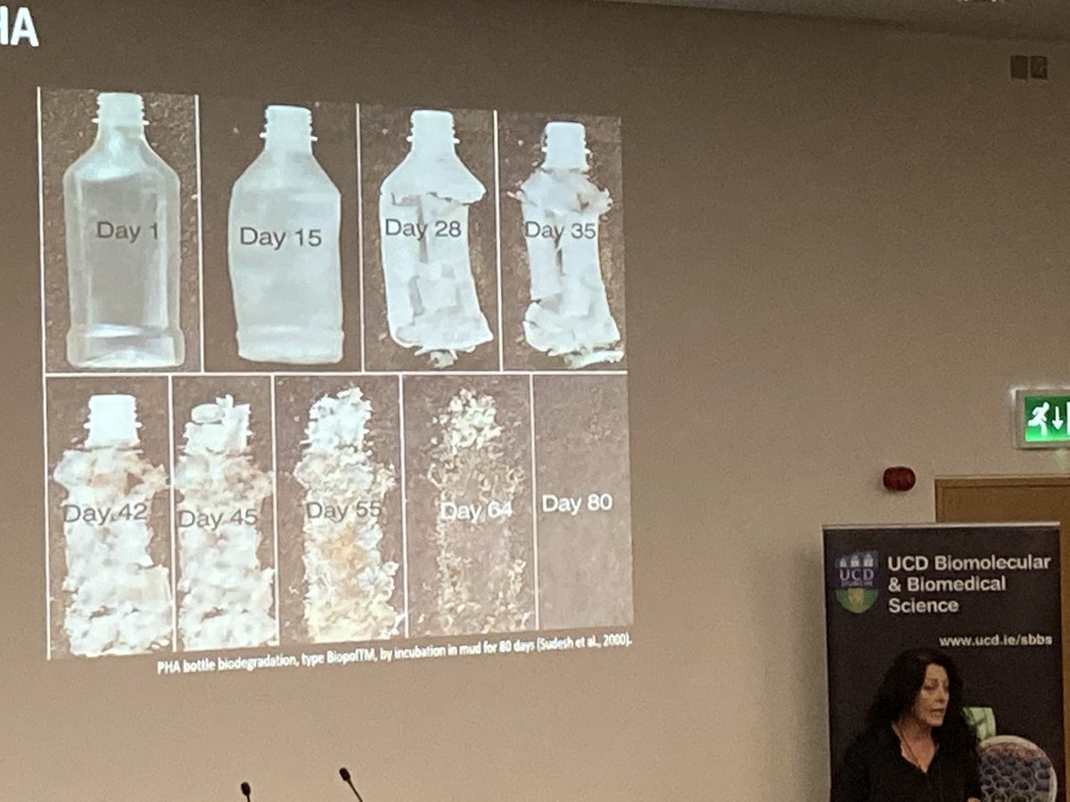 mcclean_siobhan's tweet image. Lynda Jordan loving her Brittney spears mic describes how she develops Bioplastics from bacteria. 
We can’t live without plastic but her work will give us bioplastics which are better for the environment. Finding the right gene was like finding a needle in a haystack
#UCDEngage