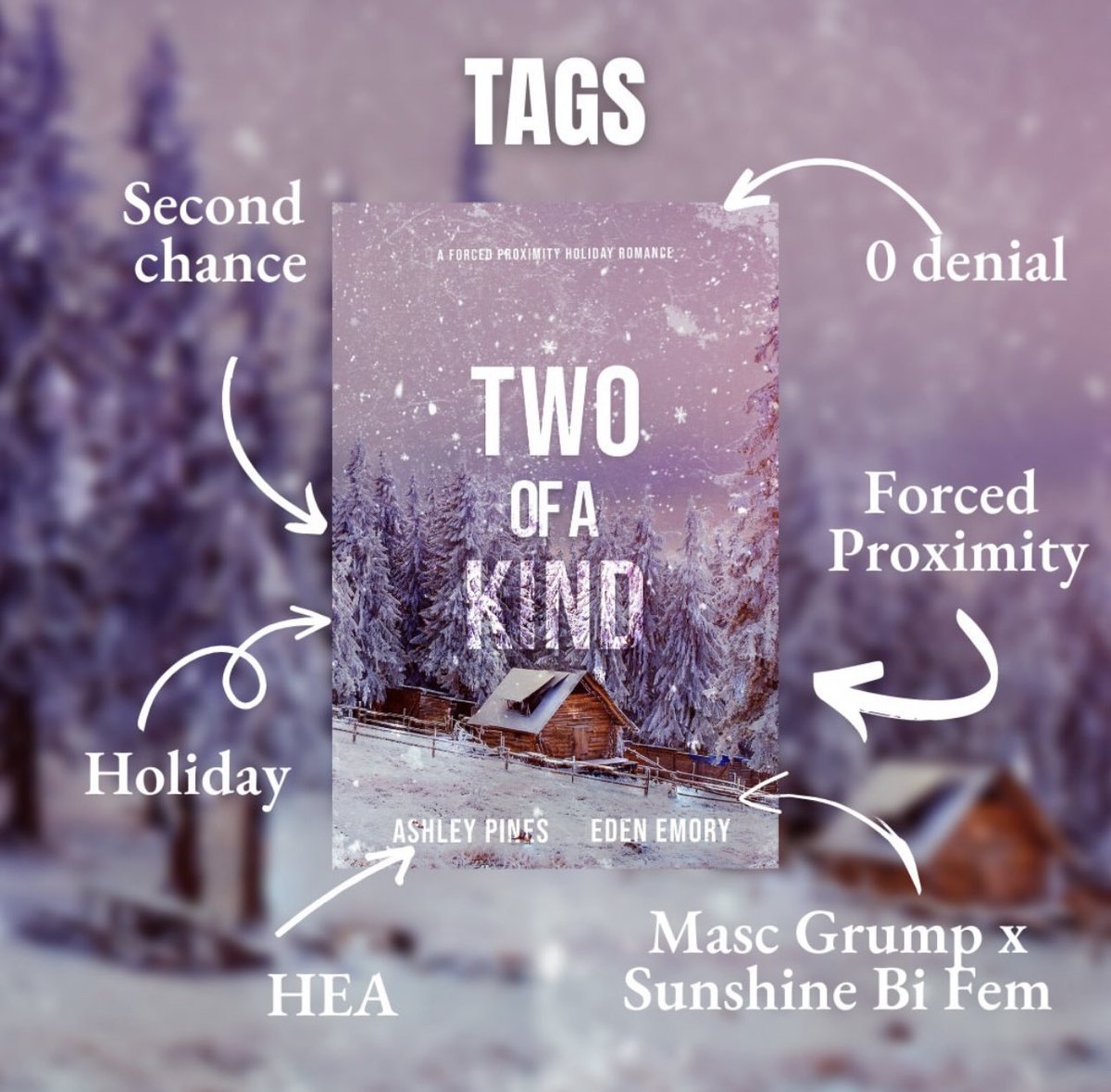 mae_books's tweet photo. ✨TWO OF A KIND IS ON SALE✨
https://t.co/CdsVu2UGvY https://t.co/Ci7nlye5KR