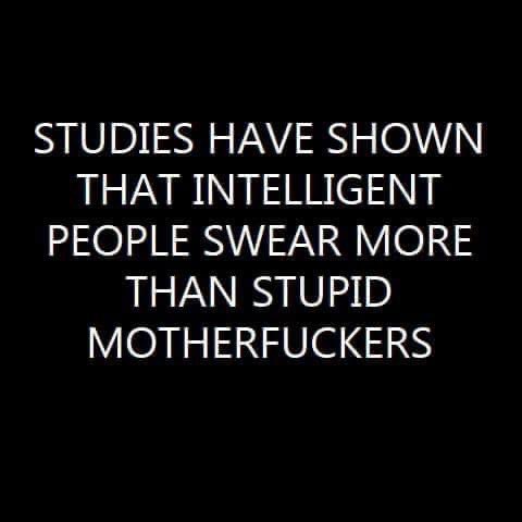 I must be fucking brilliant