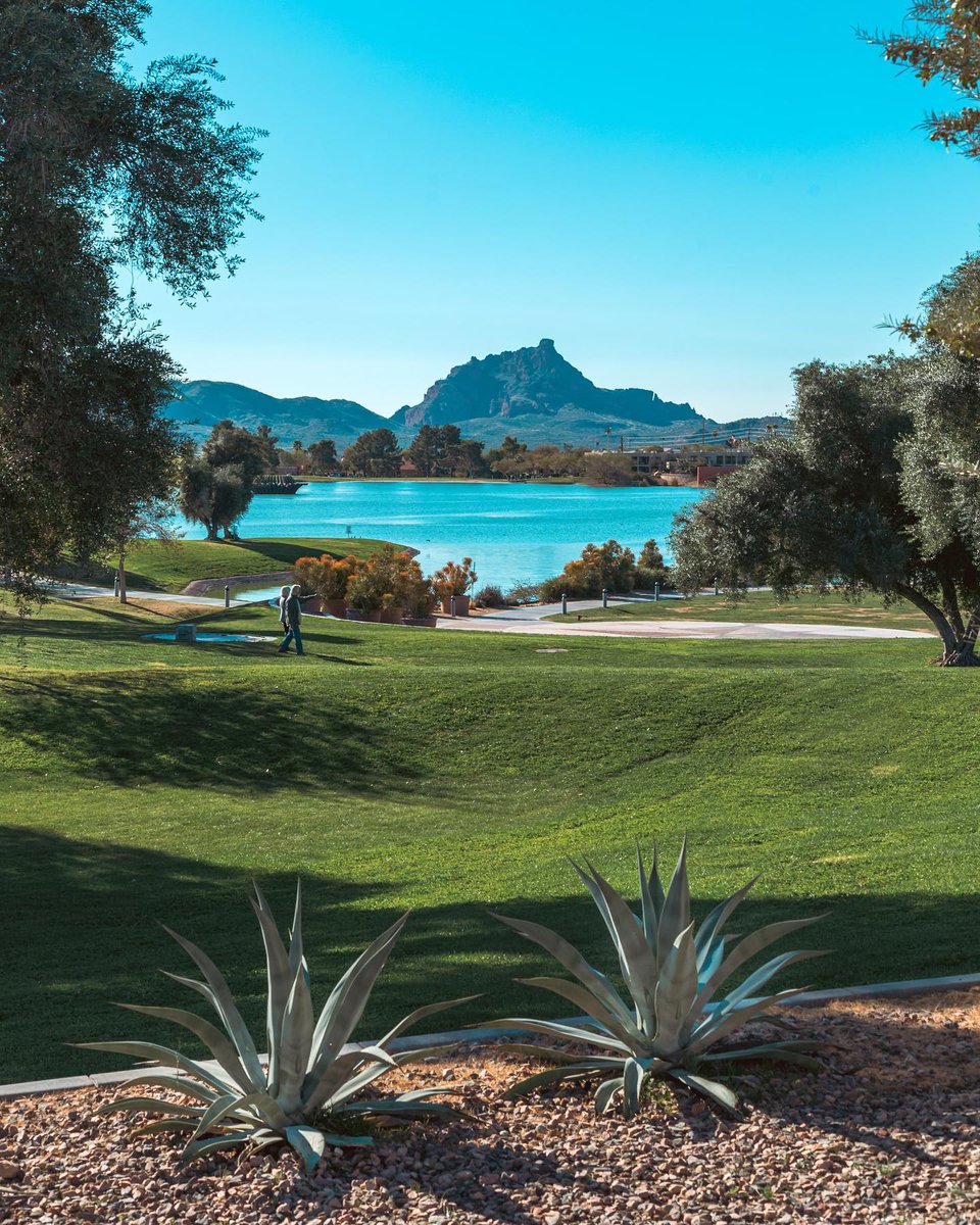 experiencefhaz's tweet image. Endless selfie opportunities. Yes, please! Experience views in every direction! #azspring #experiencefountainhills #azvibes
