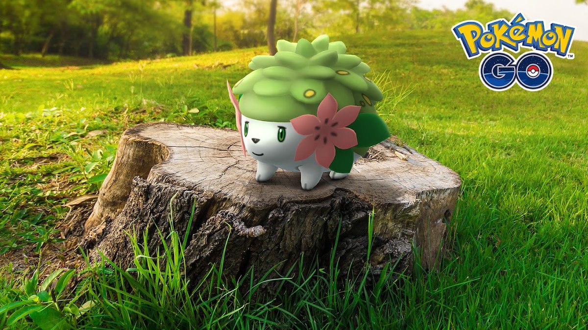 Shaymin returns to Pokémon Go as free Special Research available to all players from tomorrow.

Full Story @ pokecharms.com/news/shaymin-r…