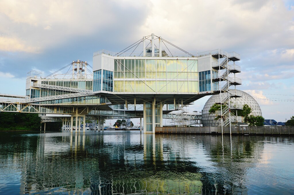 Ken Greenberg tweet media