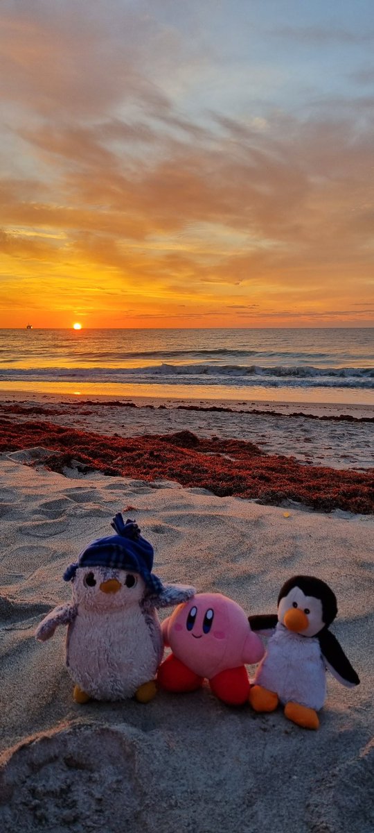 Sunriiiiise .. sunrise... 😊