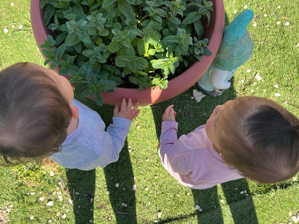 ei_olivos's tweet photo. “No todas las aulas tienen cuatro paredes”  Visitamos el huerto.

#aprenderviviendo #eilosolivos #escuelaviva #nuestrohuerto #juegoalairelibre #naturaleza #bienvenidaprimavera🌼 https://t.co/nts0eu5cyL