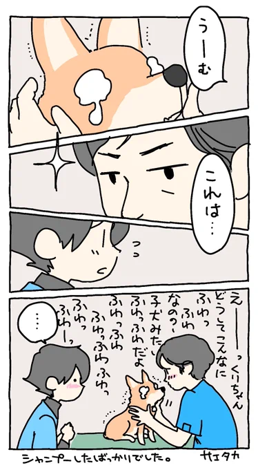 動物病院の先生の思い出②

『ワンコ17歳』78ページに登場する先生です。若い先生でワンコがとてもお世話になったんですが、ついつい患者ワンコのチャームポイントを発見してしまう先生なのでした☺️ 