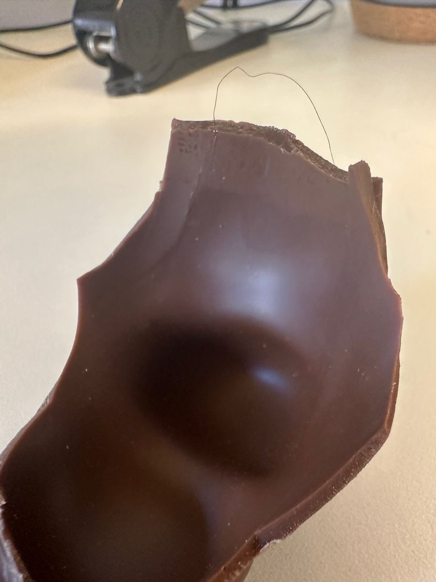 AndySewell7's tweet photo. @marksandspencer just casually eating the Bunny Cool Easter egg and stumble across a hair in the chocolate!! 🤮 https://t.co/7sw9lSZT4n