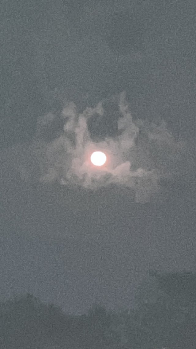 shilpapoet's tweet image. timberwolf sky
me stoned by the
glistening moon

#vss365 #Timberwolf #BrknShards #stone #haiku