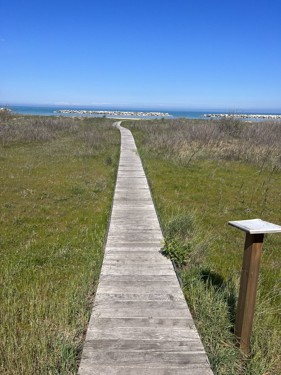 Running in paradiso