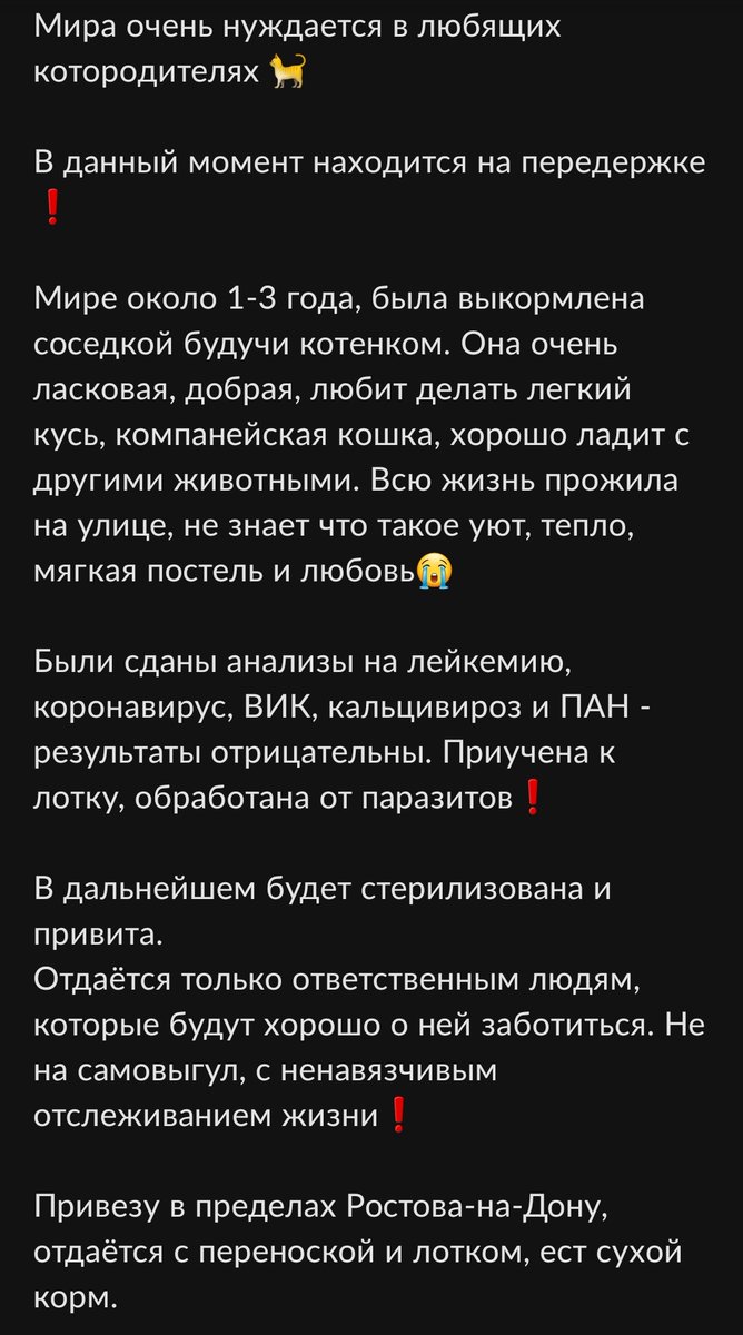 ❗️ИЩЕТ ДОМ❗️РОСТОВ-НА-ДОНУ ❗️

Уже месяц Мира ищет дом и никто ещё не отозвался 😭 она очень хочет быть любимой. Ей очень скучно на передержке. Давайте поможем найти ей любящих хозяев?

Полная информация о ней в каруселе ⬇️

Связь: в лс или ватсап 89508499252
#ищетдом #помощь