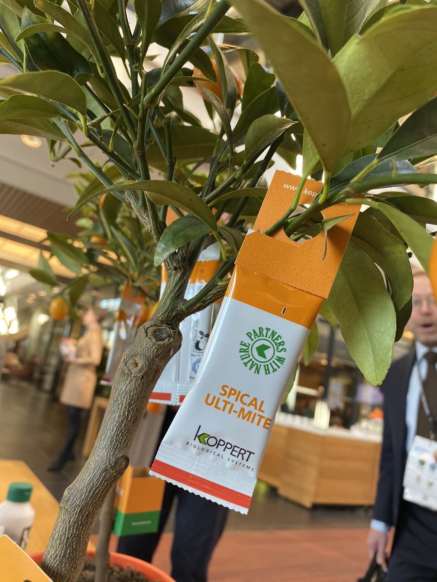 State Board tweet media